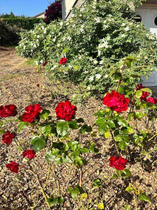 Gite De La Petite Fourmy Saint-Sulpice-les-Feuilles Exteriér fotografie